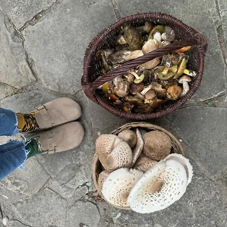 Drzemka בית חווה *