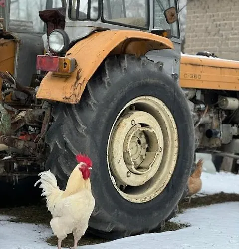 Drzemka Ruda (Skierniewice)