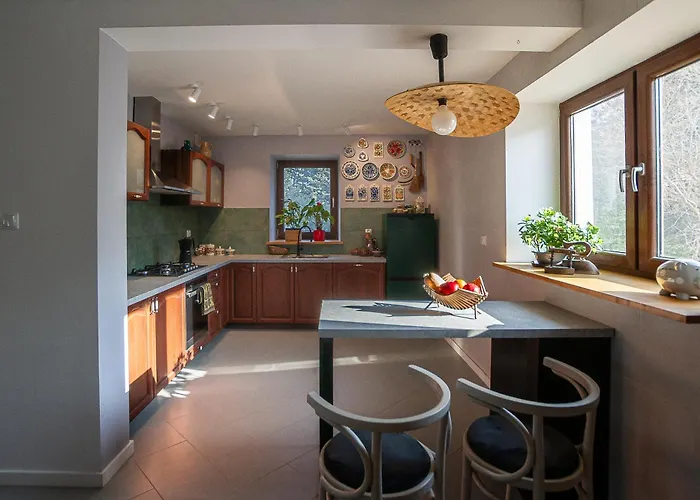 Drzemka Ruda (Skierniewice)