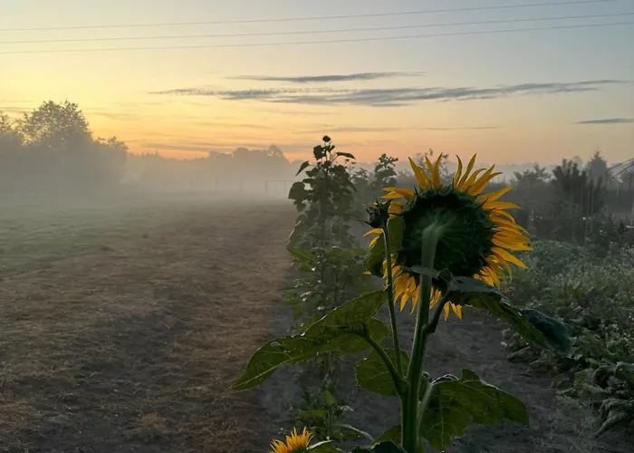 مزرعة للإقامة Drzemka Ruda (Skierniewice)