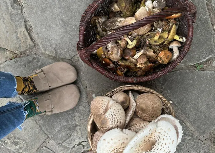 Drzemka مزرعة للإقامة *