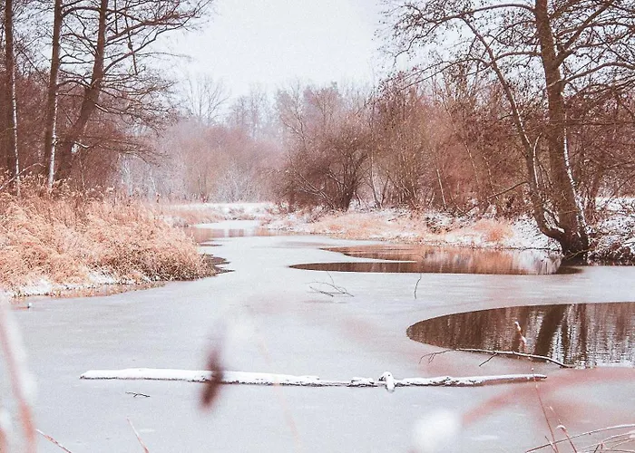 Drzemka مزرعة للإقامة